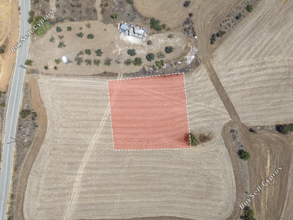 land for sale mitsero nicosia 946238 image 15602822