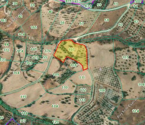 6446 SQM Land for sale in Episkopi Pafou, Paphos 15473313