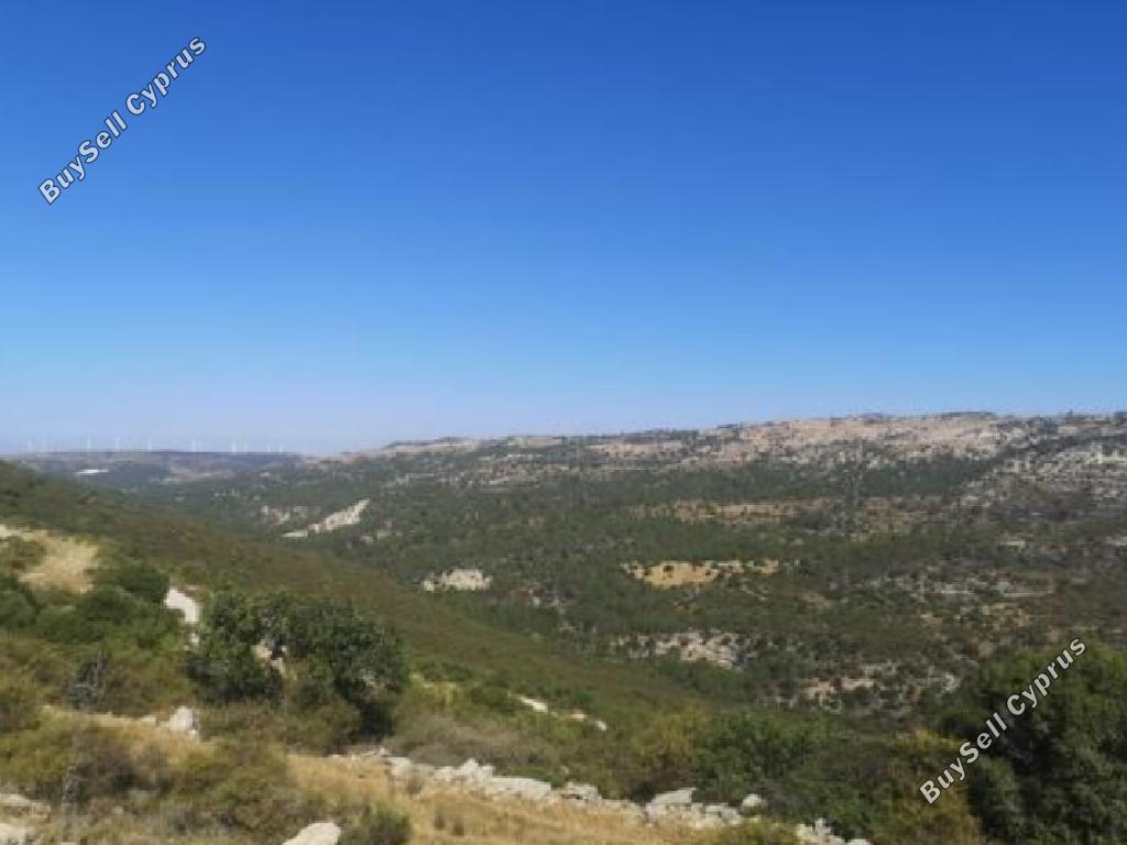 34449 SQM Land for sale in Dora, Limassol 15598456