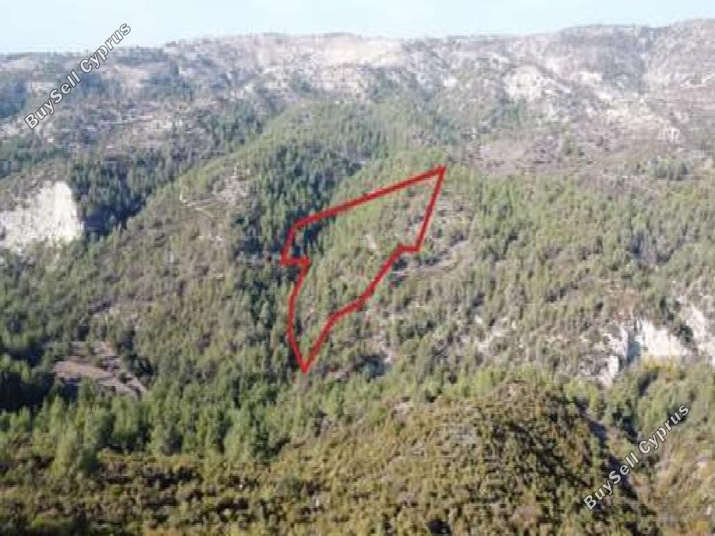 land for sale dora limassol 1578338 image 17397026