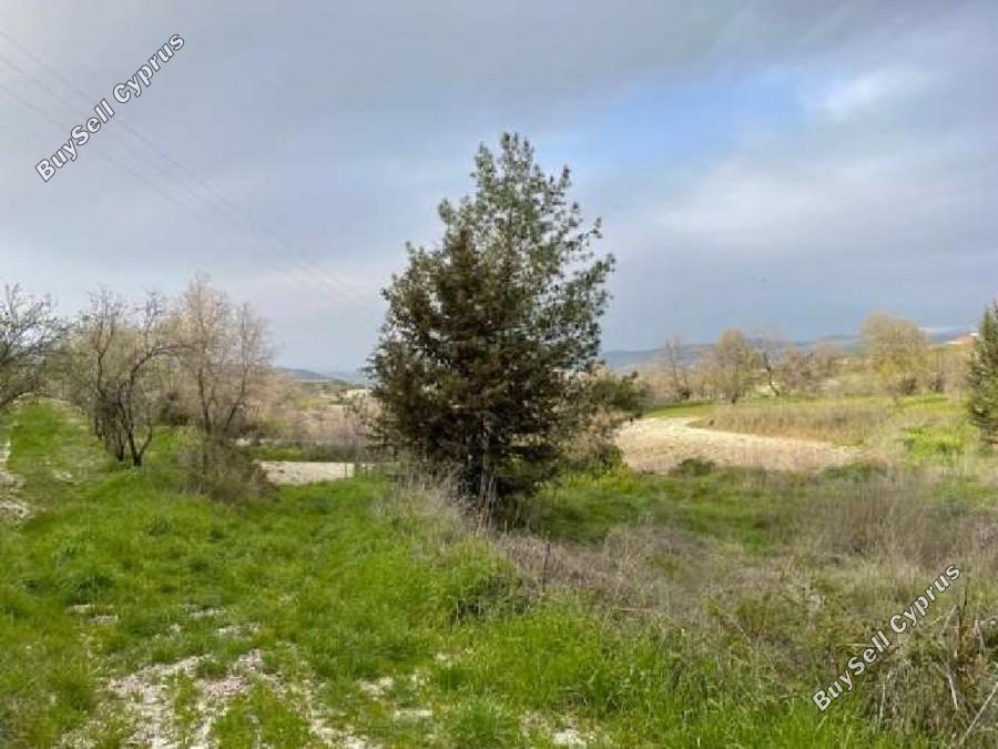 land for sale stroumbi paphos 1355338 image 5630180