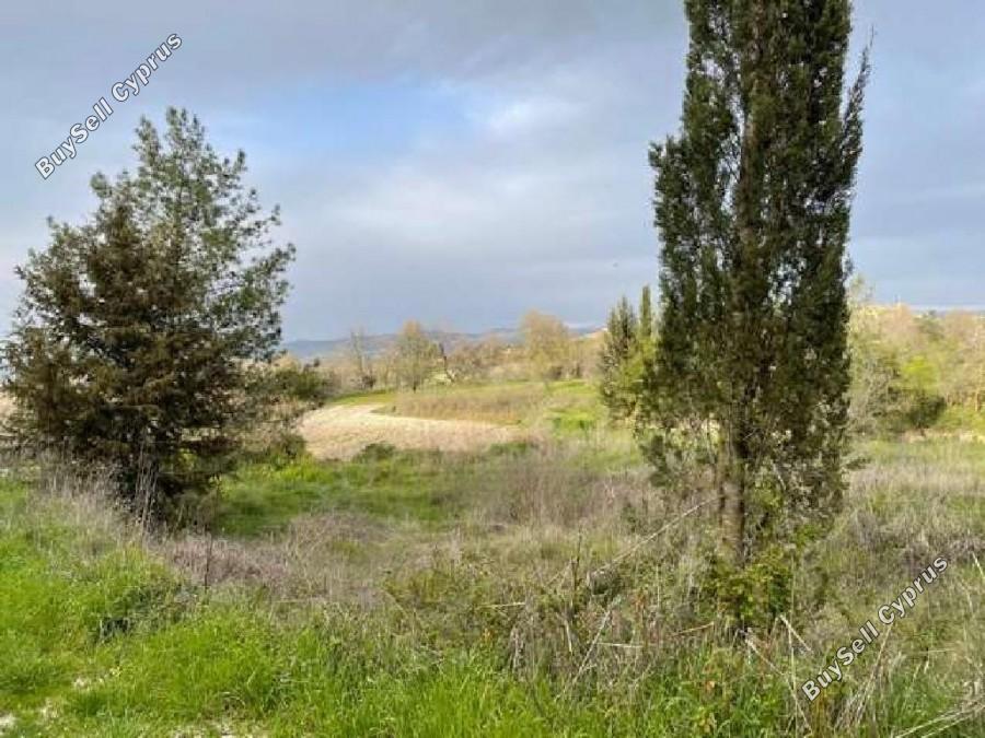 land for sale stroumbi paphos 1355338 image 5630184