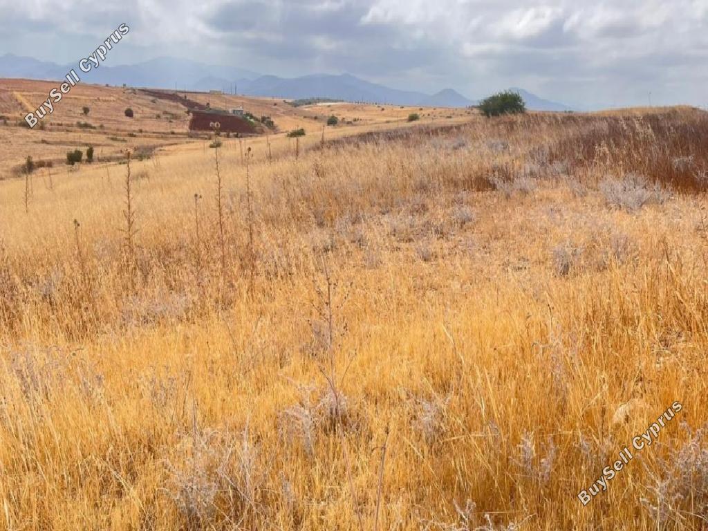 15720 SQM Land for sale in Potami, Nicosia 15601597