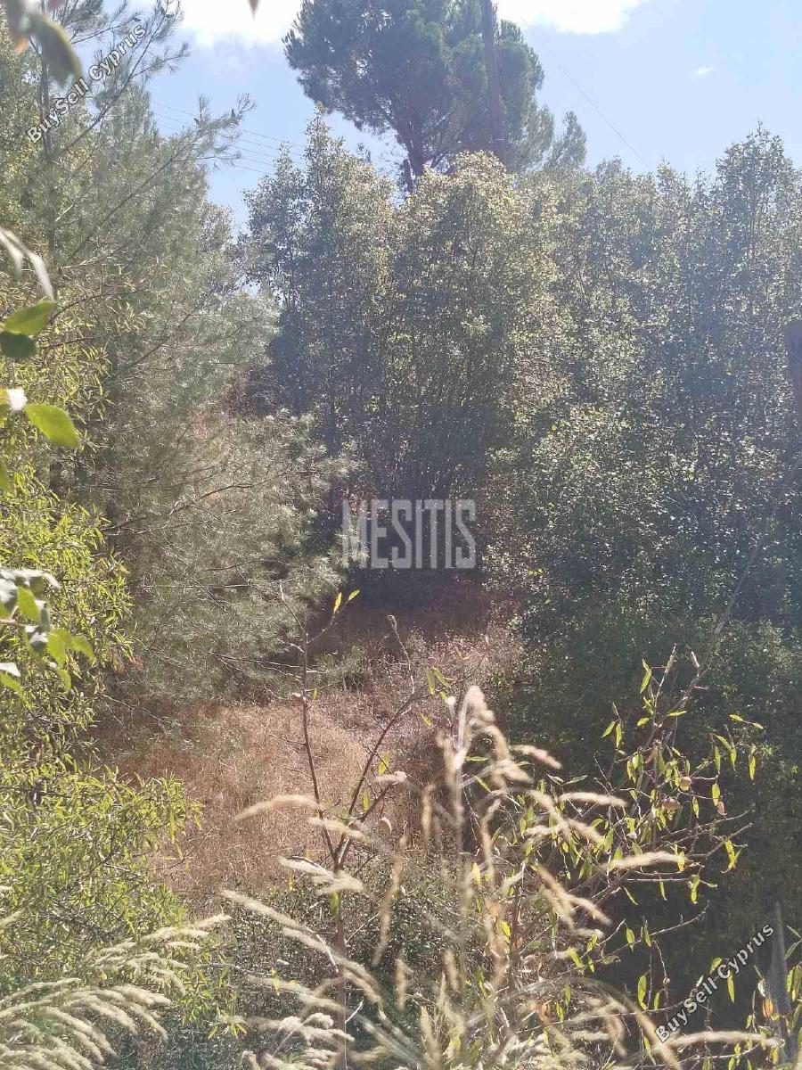 plot for sale lemithou limassol 8255438 image 13910701