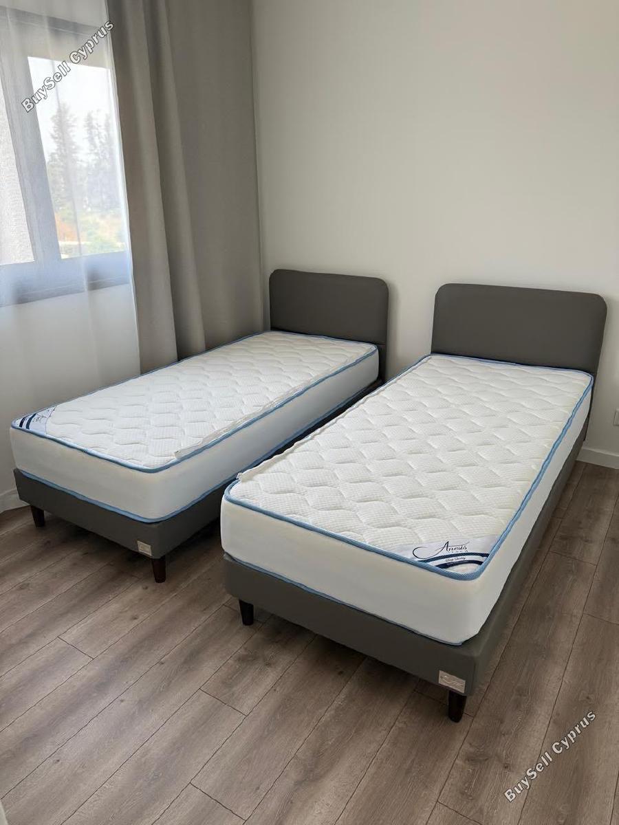 2 bedroom apartment for rent tserkezoi limassol 8785538 image 16654323