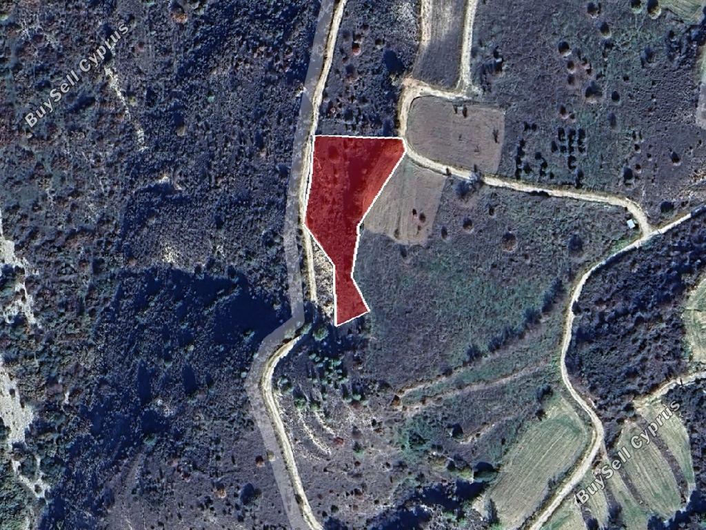 land for sale kedares paphos 1464538 image 15600374