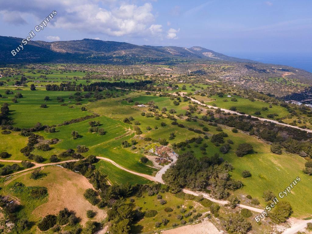 land for sale neo chorio paphos 1048538 image 15600304