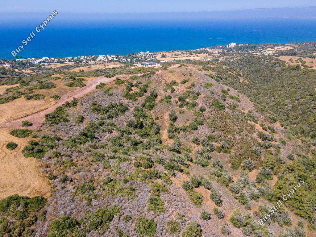 land for sale neo chorio paphos 952538 image 858615