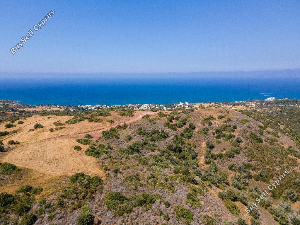 land for sale neo chorio paphos 952538 image 858616