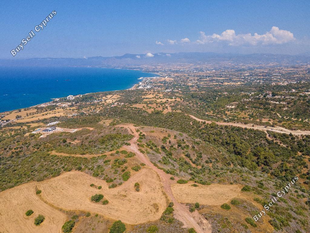 land for sale neo chorio paphos 952538 image 858617