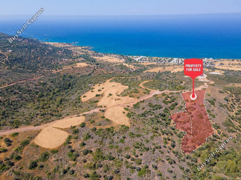 land for sale neo chorio paphos 952538 image 858618