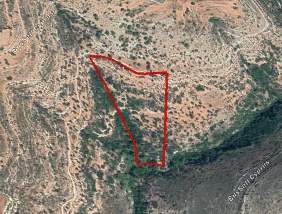 land for sale prastio avdimou limassol 1548538 image 5892936