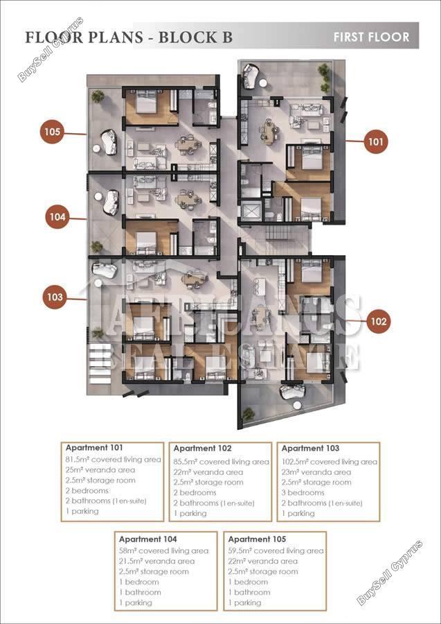 1 bedroom apartment for sale livadia larnacas larnaca 8798638 image 16720219