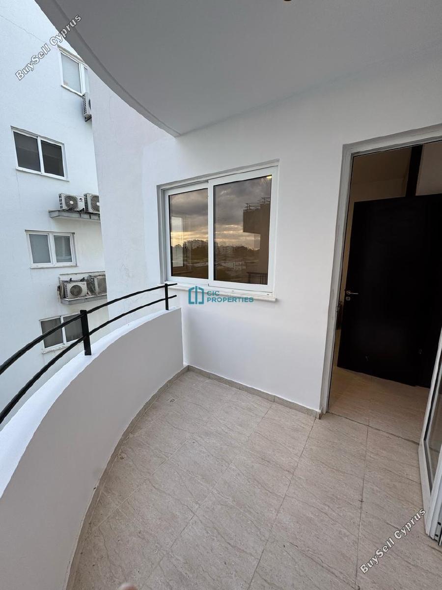 2 bedroom apartment for rent mackenzie larnaca 7820638 image 16306890