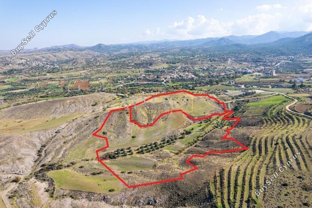 land for sale nikitari nicosia 1011638 image 16723805