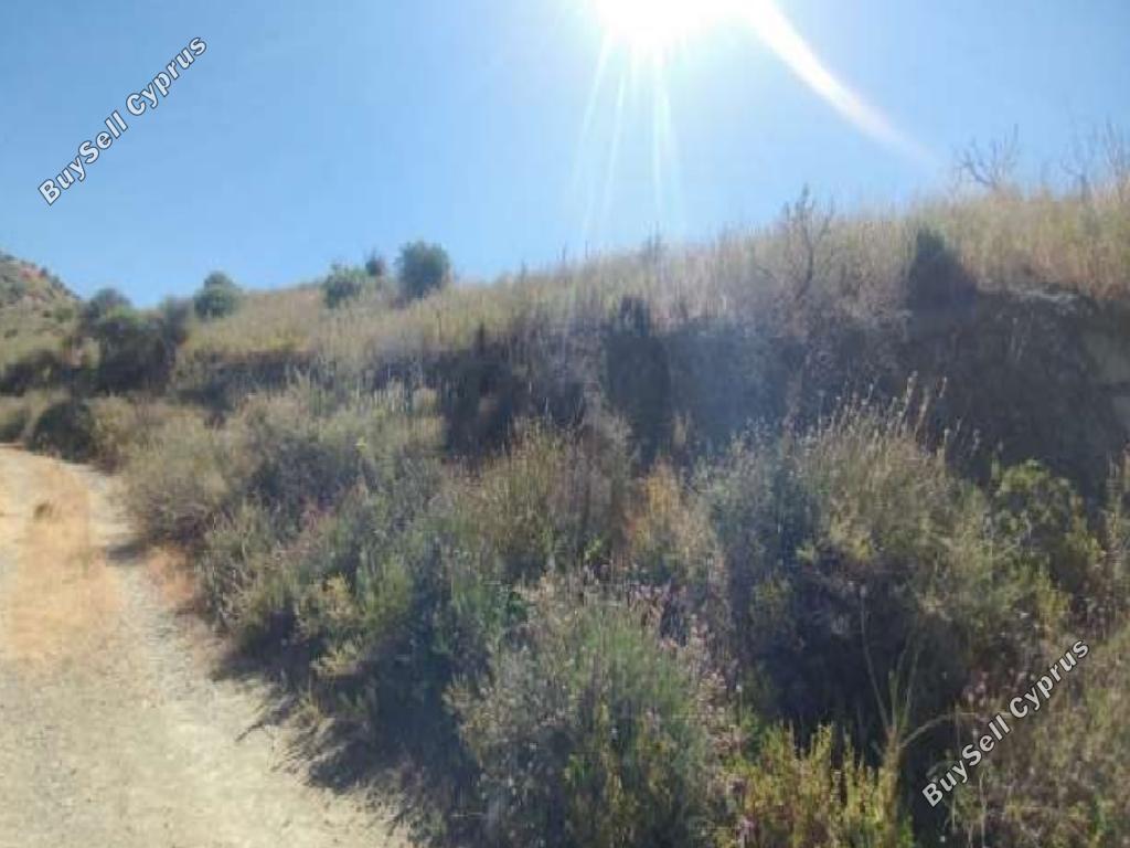 land for sale ora larnaca 7609638 image 9774989