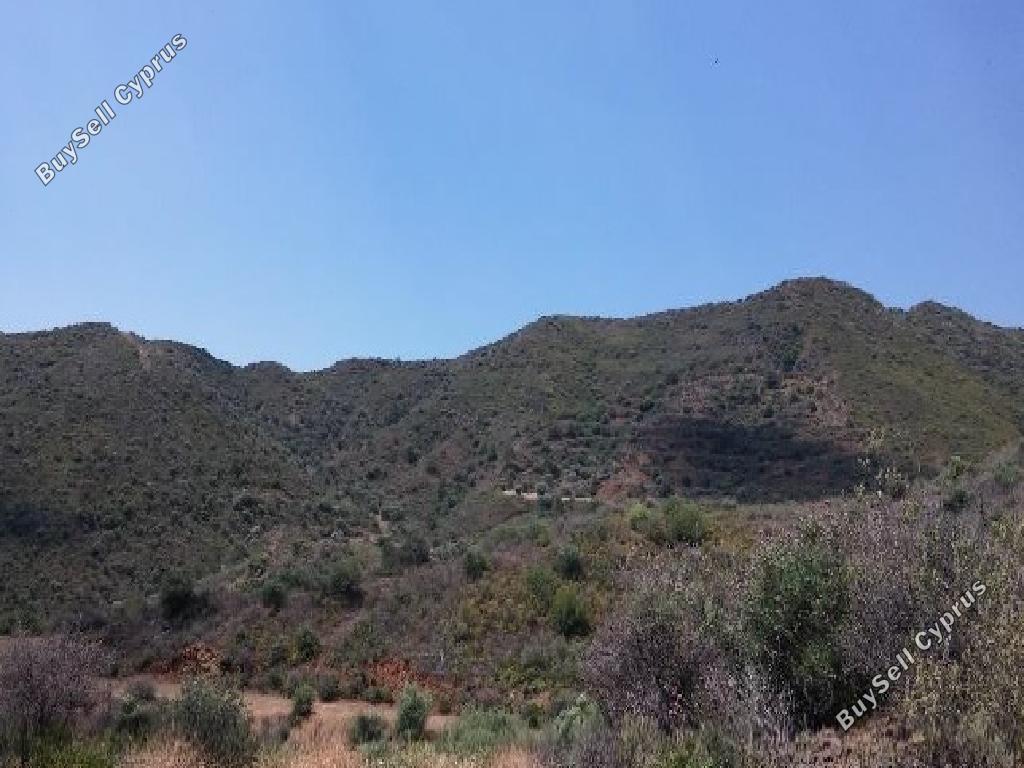 land for sale ora larnaca 826638 image 13833254