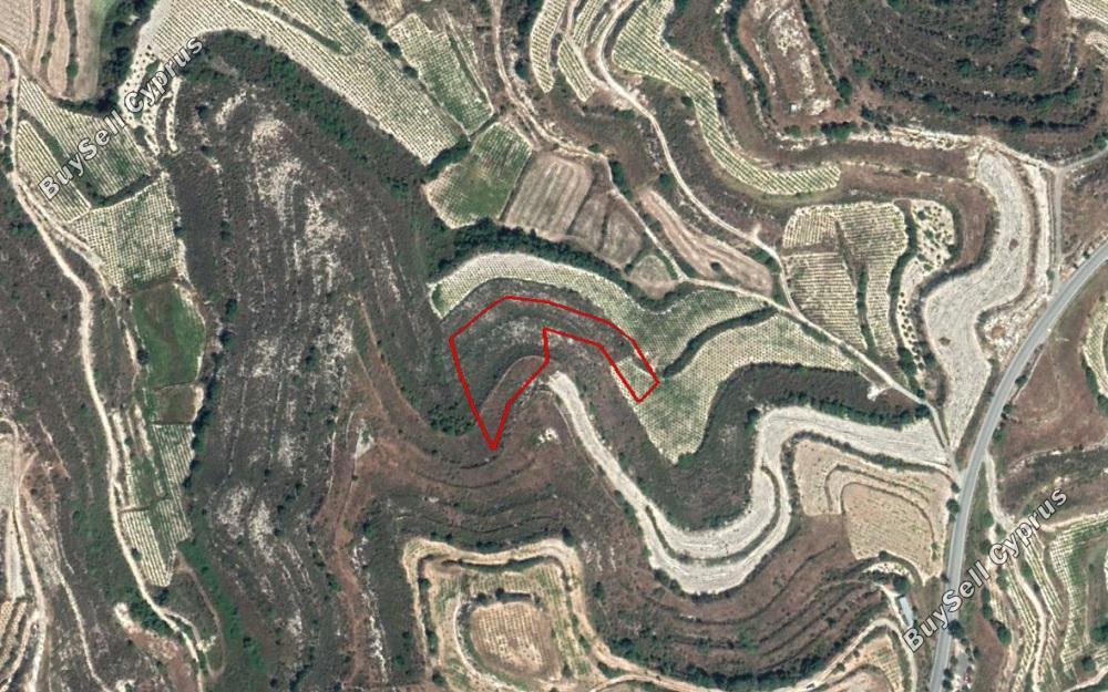 land for sale pachna limassol 828638 image 11082017