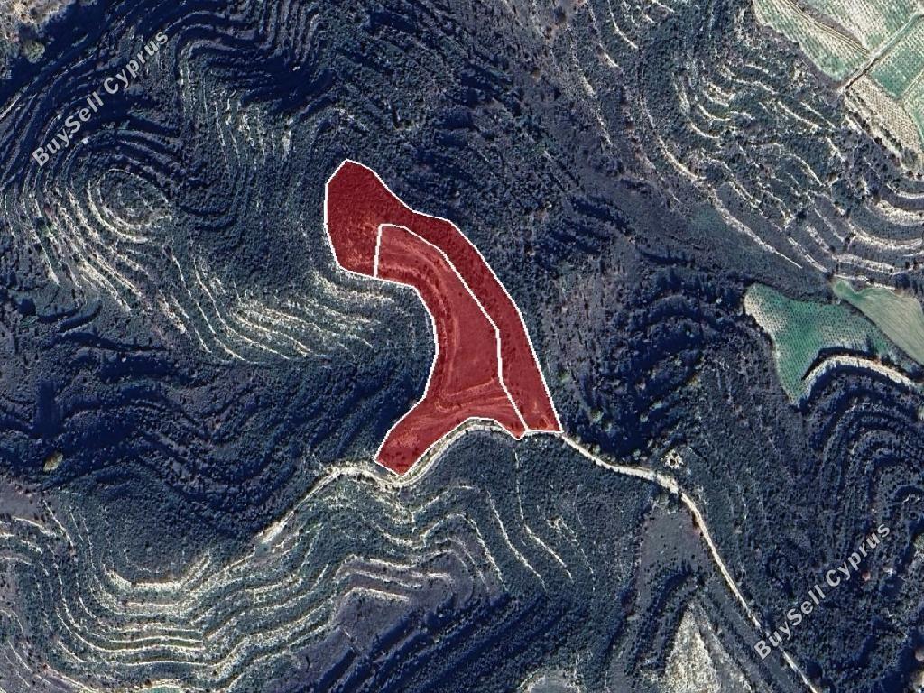 land for sale pachna limassol 8785638 image 16655919