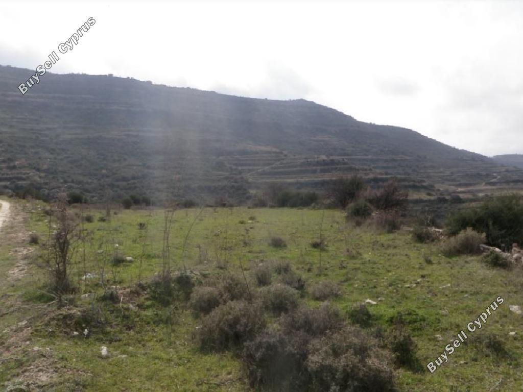 land for sale pachna limassol 8785638 image 16655920
