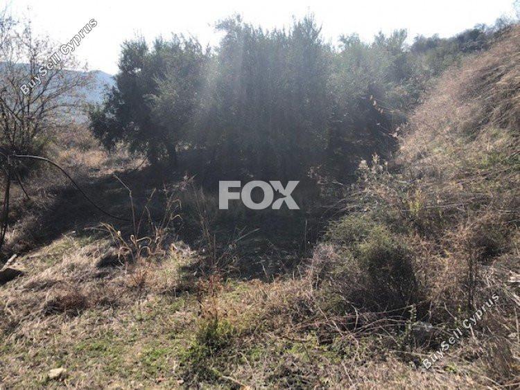 land for sale silikou limassol 1147638 image 5514534