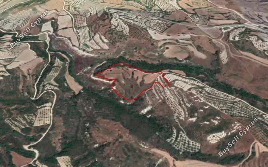25753 SQM Land for sale in Simou, Paphos 15579416