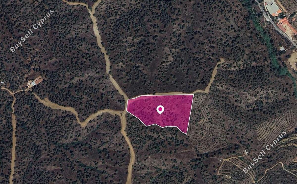 land for sale agios theodoros soleas nicosia 8629738 image 15869729