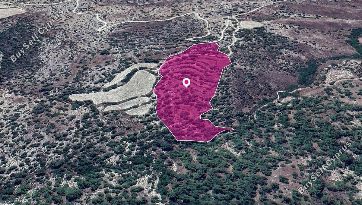 land for sale amargeti paphos 1213738 image 14890786