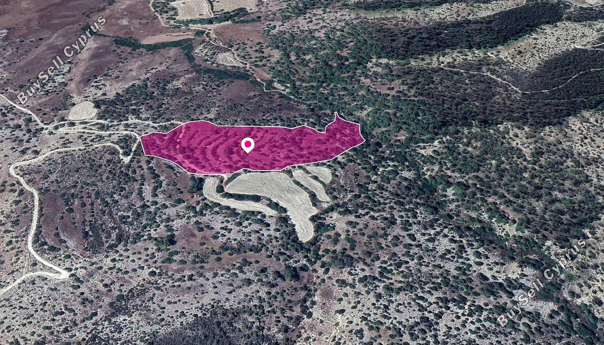 land for sale amargeti paphos 1213738 image 14890791