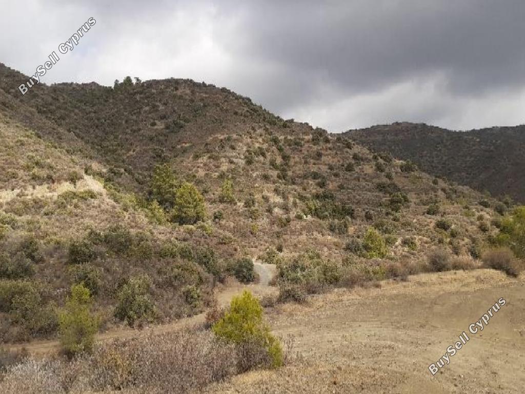 land for sale ora larnaca 1016738 image 15603475