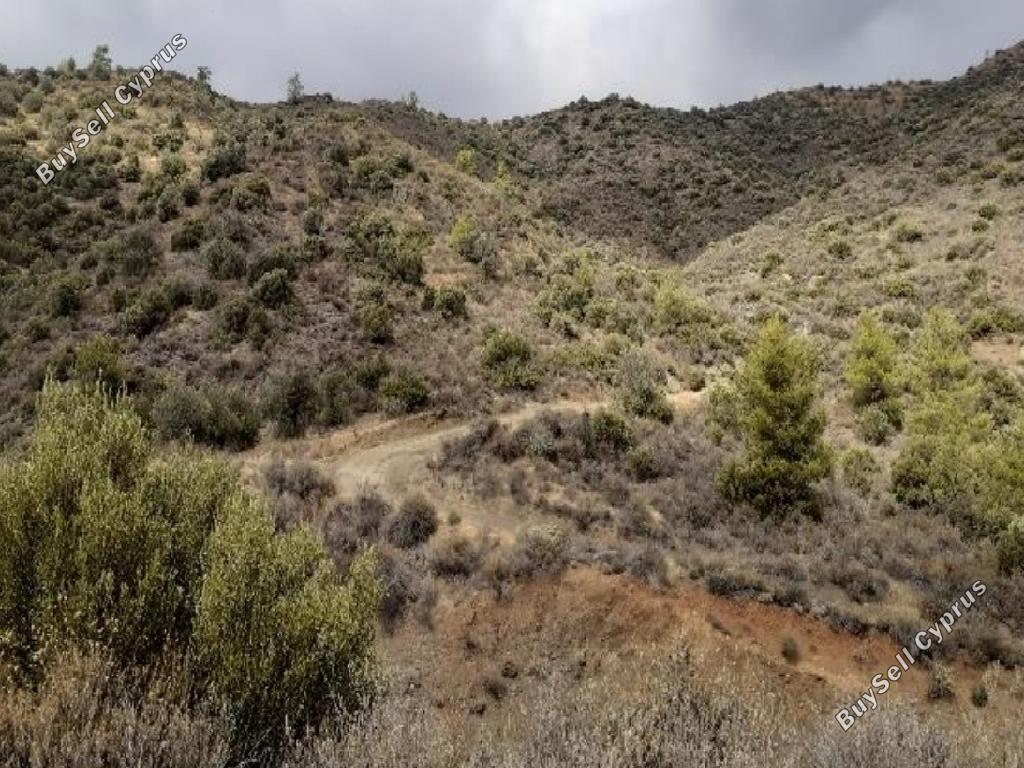 land for sale ora larnaca 1016738 image 15603476