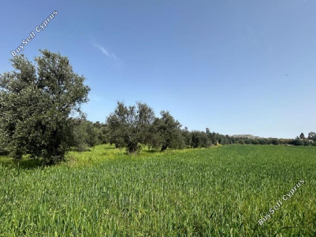 land for sale linou nicosia 1810838 image 6230250