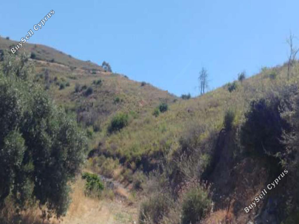 land for sale ora larnaca 945838 image 15602296