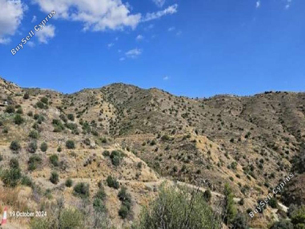land for sale ora larnaca 945838 image 17227906