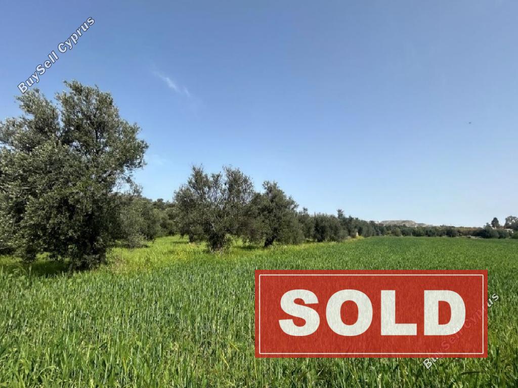 land sold linou nicosia 1810838 image 6230250