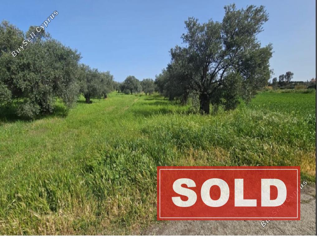 land sold linou nicosia 1810838 image 6230252