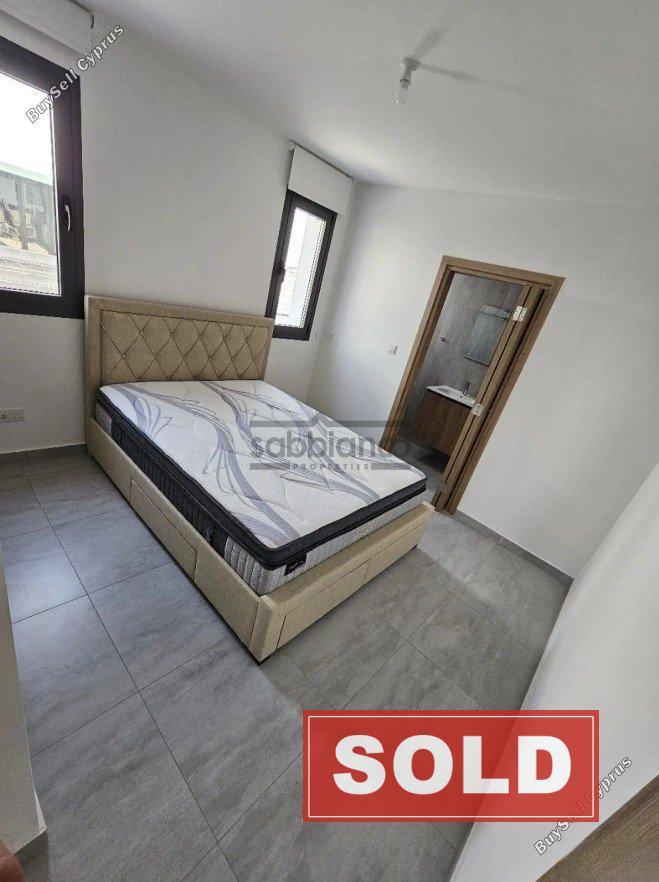 2 bedroom apartment sold livadia larnacas larnaca 8740938 image 16387876