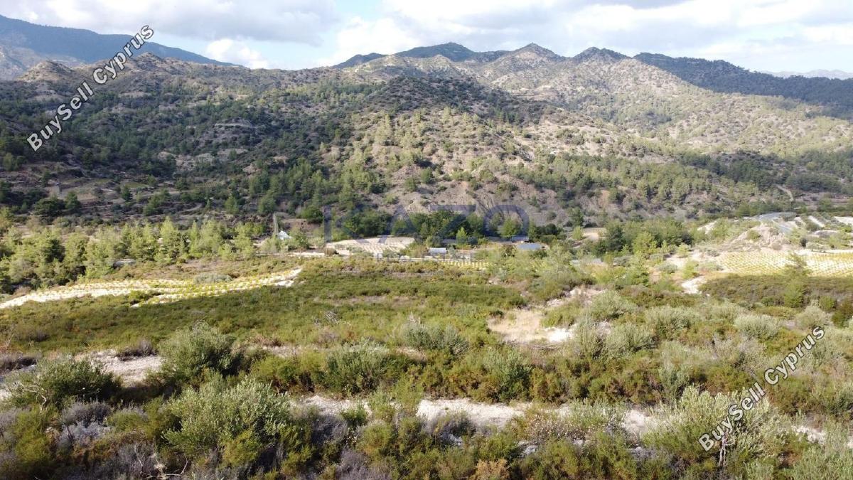 land for sale agios mamas limassol 1836938 image 14699247