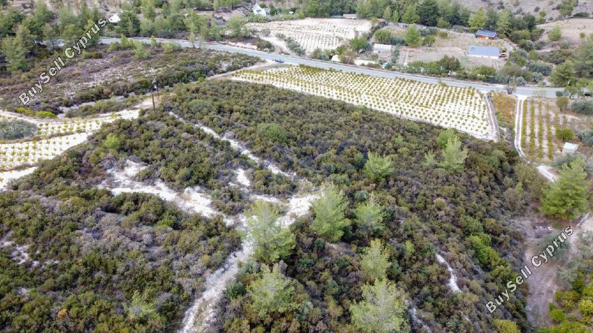 land for sale agios mamas limassol 1836938 image 14699248