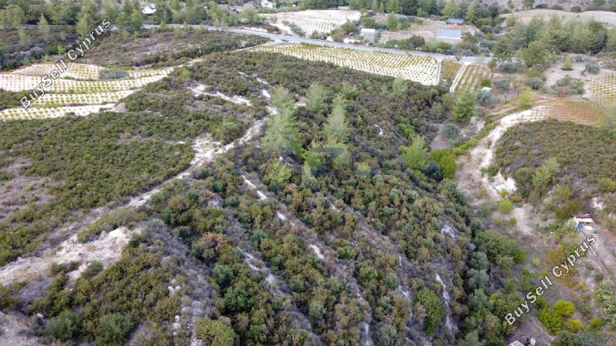 land for sale agios mamas limassol 1836938 image 14699249