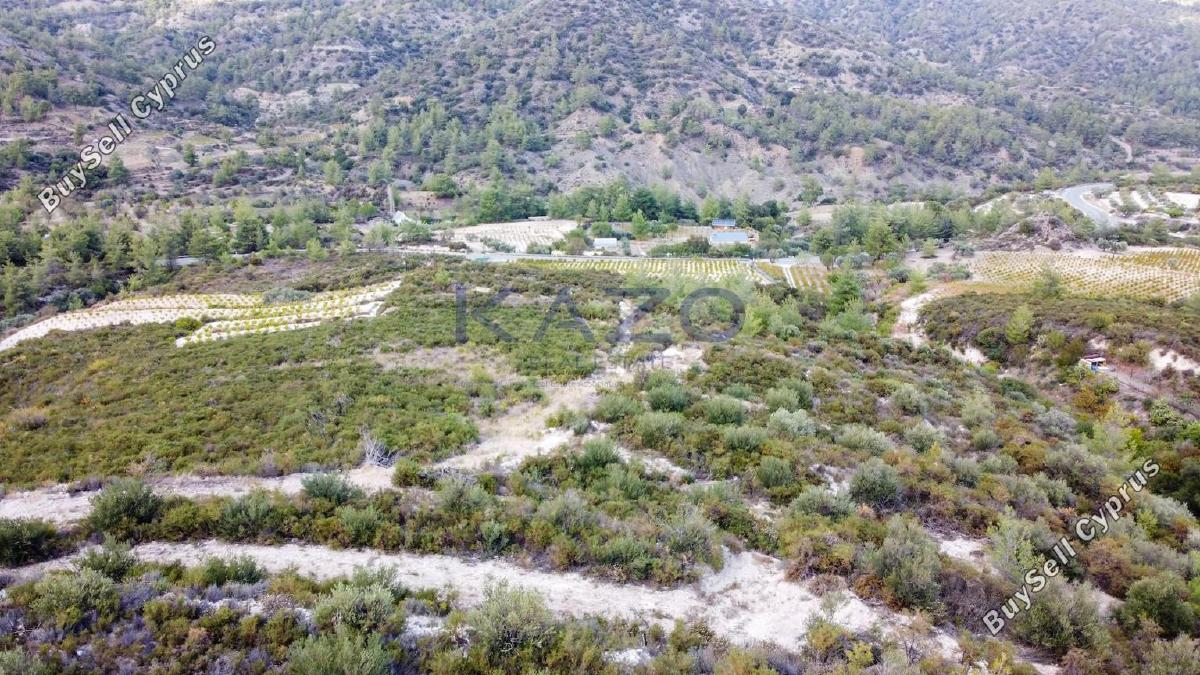 land for sale agios mamas limassol 1836938 image 14699250