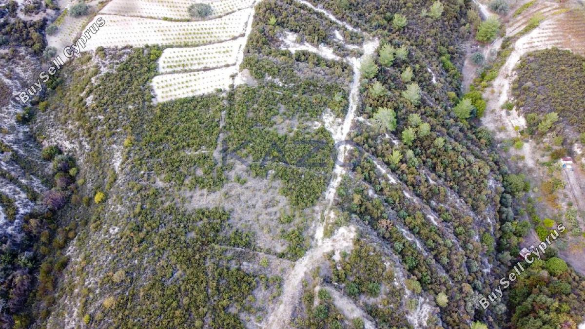 land for sale agios mamas limassol 1836938 image 14699251
