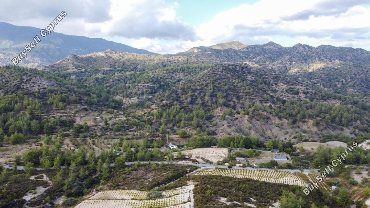 land for sale agios mamas limassol 1836938 image 14699254