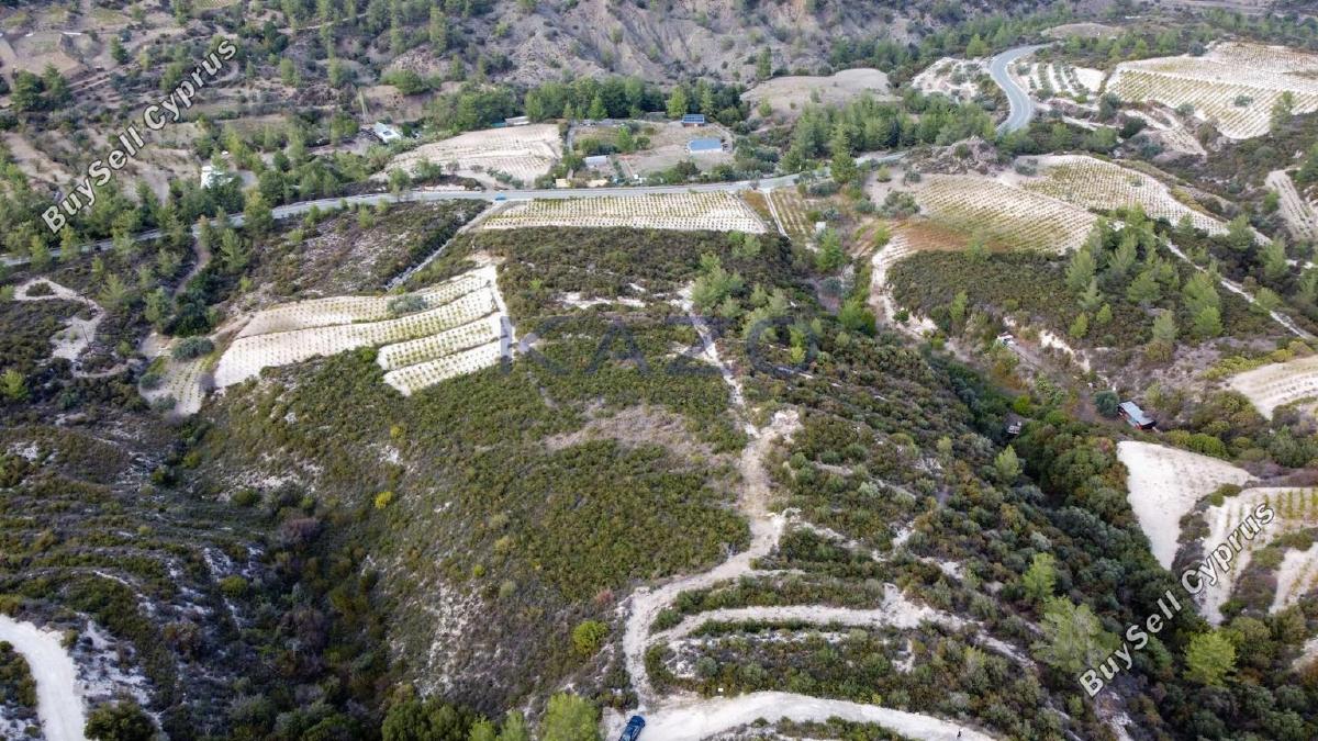 land for sale agios mamas limassol 1836938 image 14699255