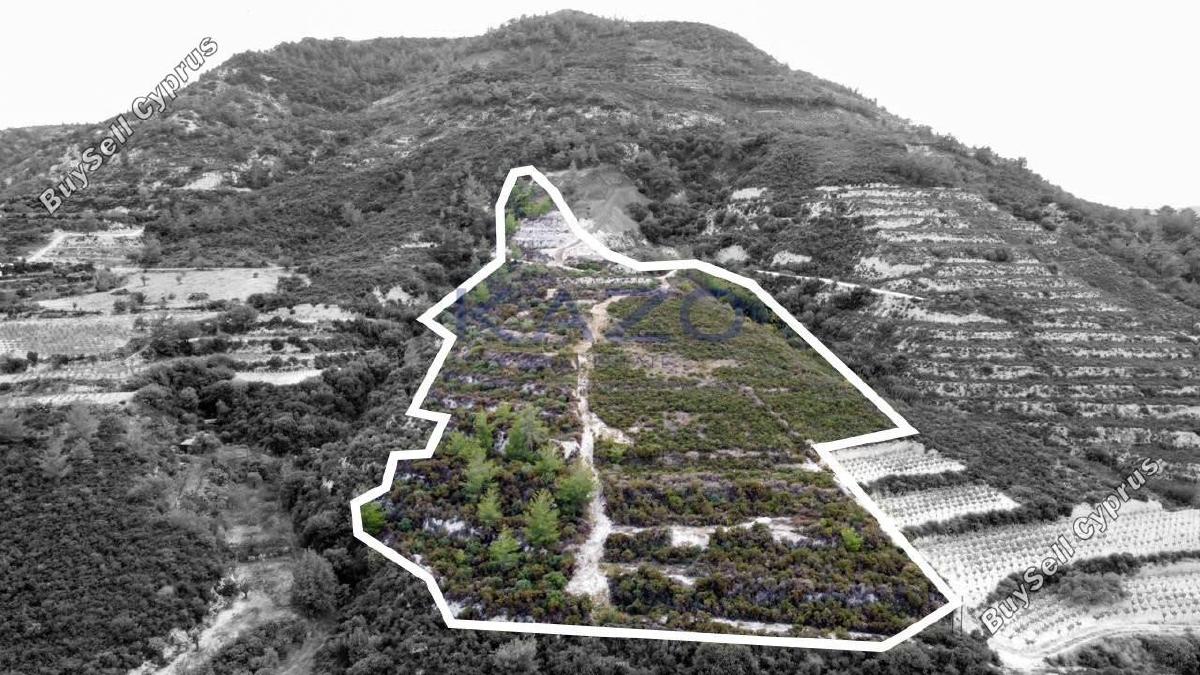 land for sale agios mamas limassol 1836938 image 14699259