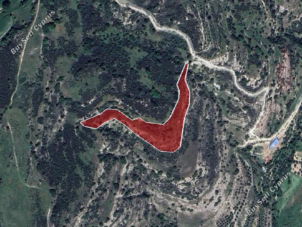 land for sale choulou paphos 1169938 image 15600895