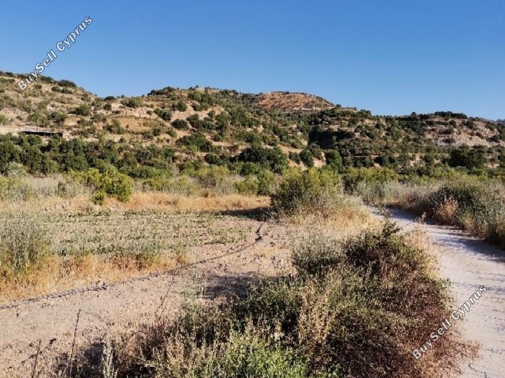 land for sale choulou paphos 1169938 image 15600896