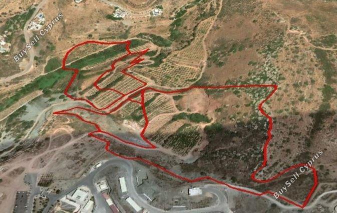 land for sale peyia paphos 1684938 image 4407324