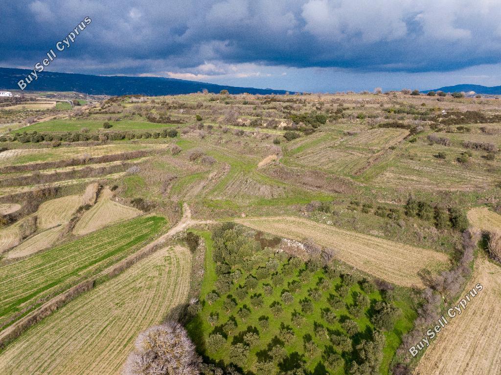 land for sale polemi paphos 8248938 image 15595838