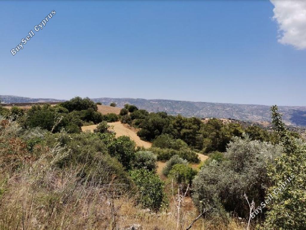 land for sale drimou paphos 1318048 image 16009158
